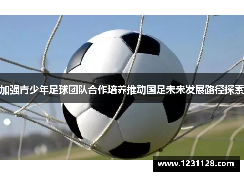 加强青少年足球团队合作培养推动国足未来发展路径探索