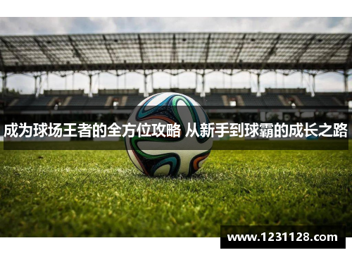 成为球场王者的全方位攻略 从新手到球霸的成长之路