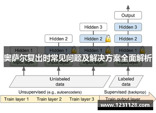 奥萨尔复出时常见问题及解决方案全面解析