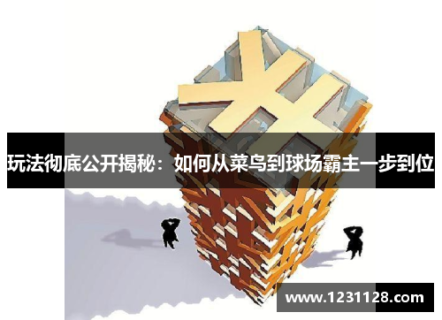 玩法彻底公开揭秘：如何从菜鸟到球场霸主一步到位